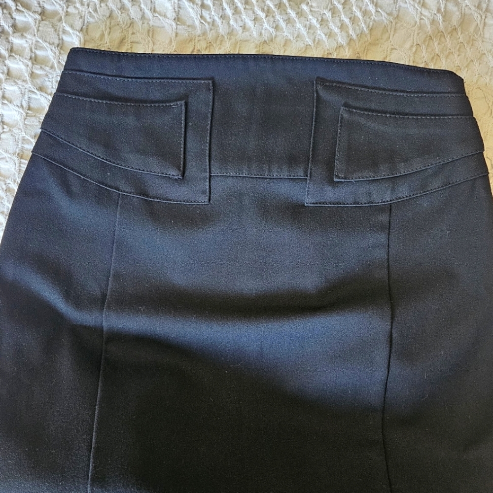 Express Pencil Skirt